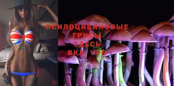 экстази Коряжма