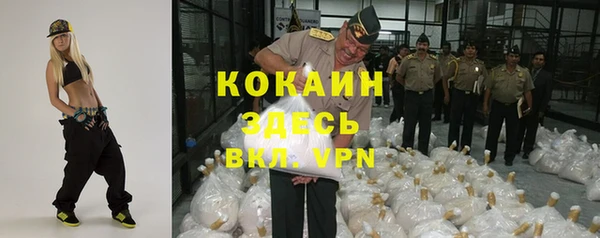 стаф Козловка