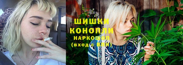 стаф Козловка