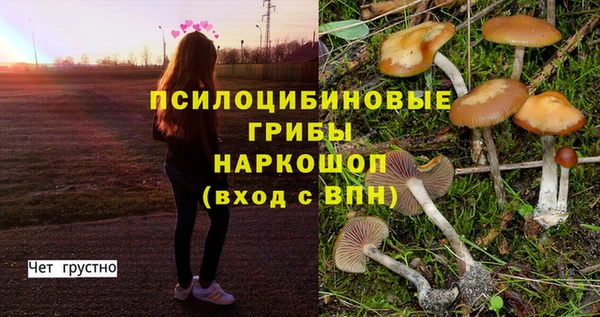 мяу мяу мука Кодинск
