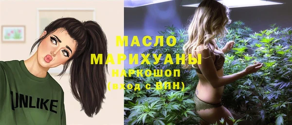 стаф Козловка