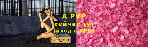 стаф Козловка