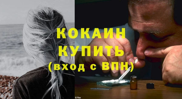 мяу мяу мука Кодинск