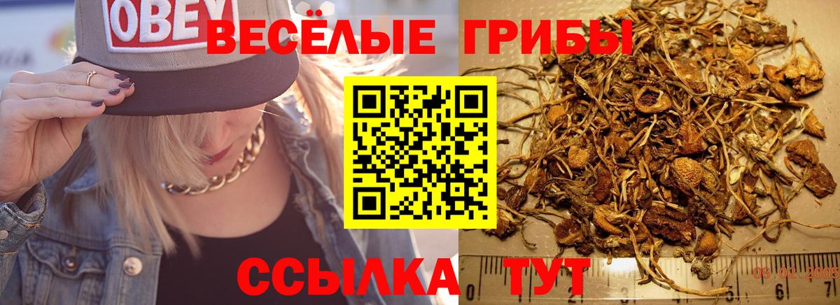 Галлюциногенные грибы Psilocybine cubensis  Вход с VPN  Старая Купавна 